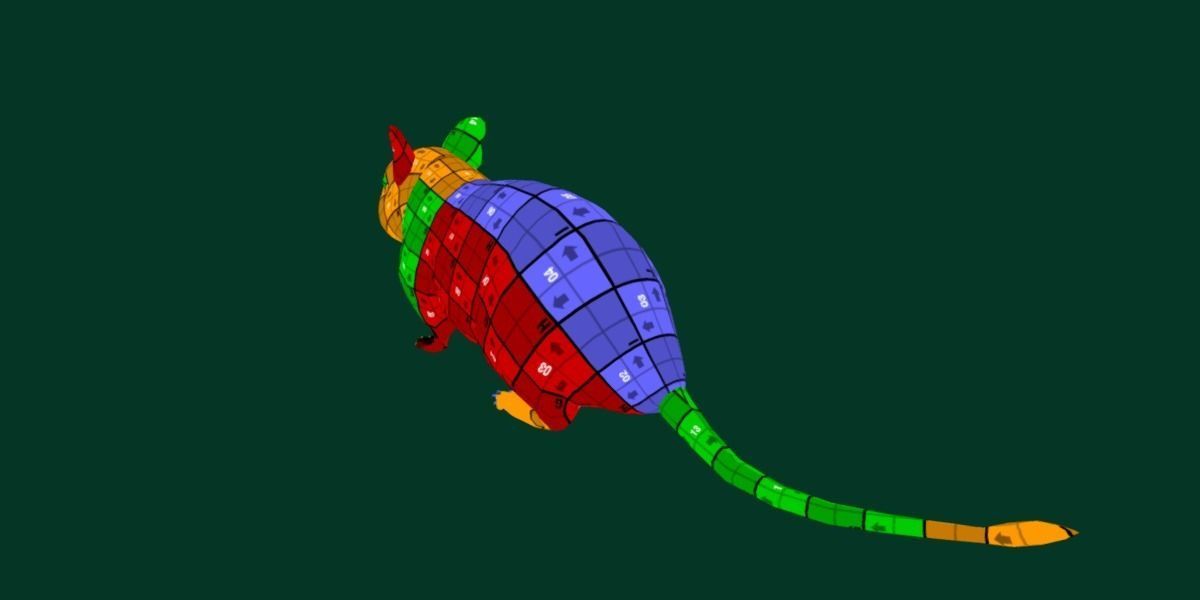 Common Degu Rat Rodents Low-poly 3D model_15