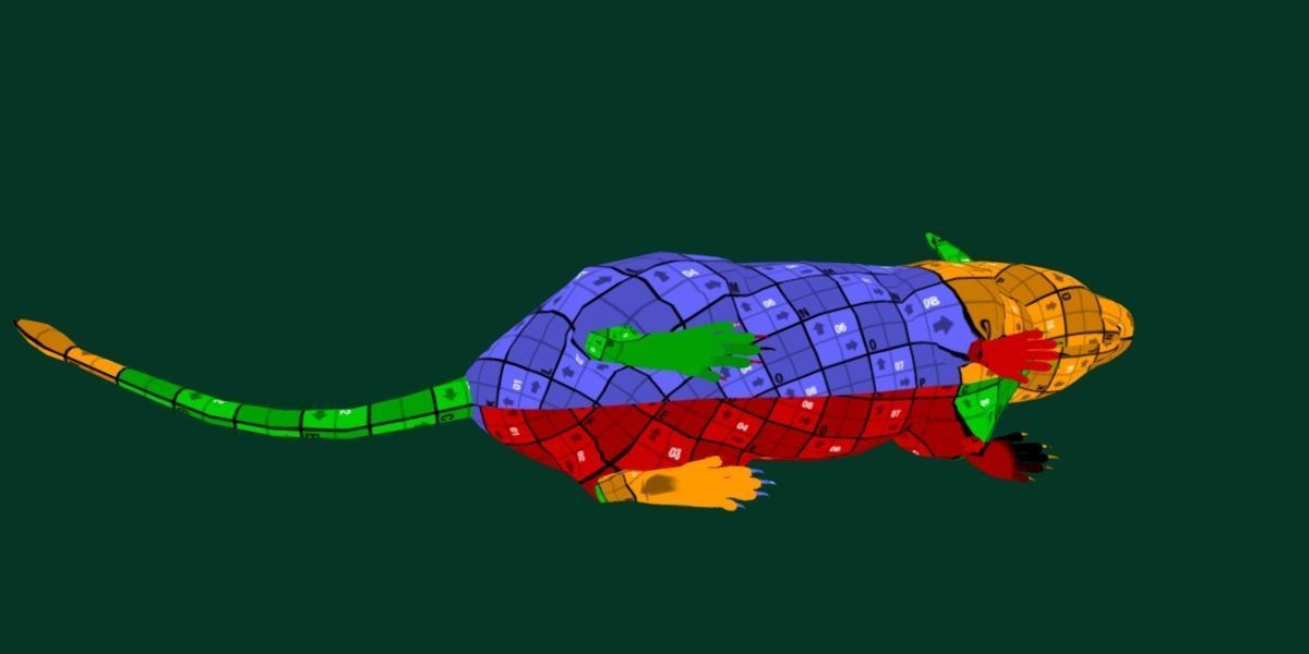 Common Degu Rat Rodents Low-poly 3D model_19