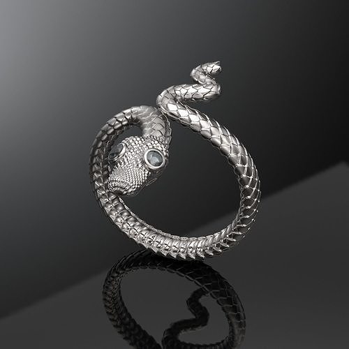 Snake  ring-Anillo serpiente 3D print model