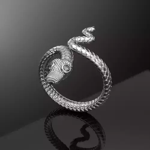 Snake  ring-Anillo serpiente