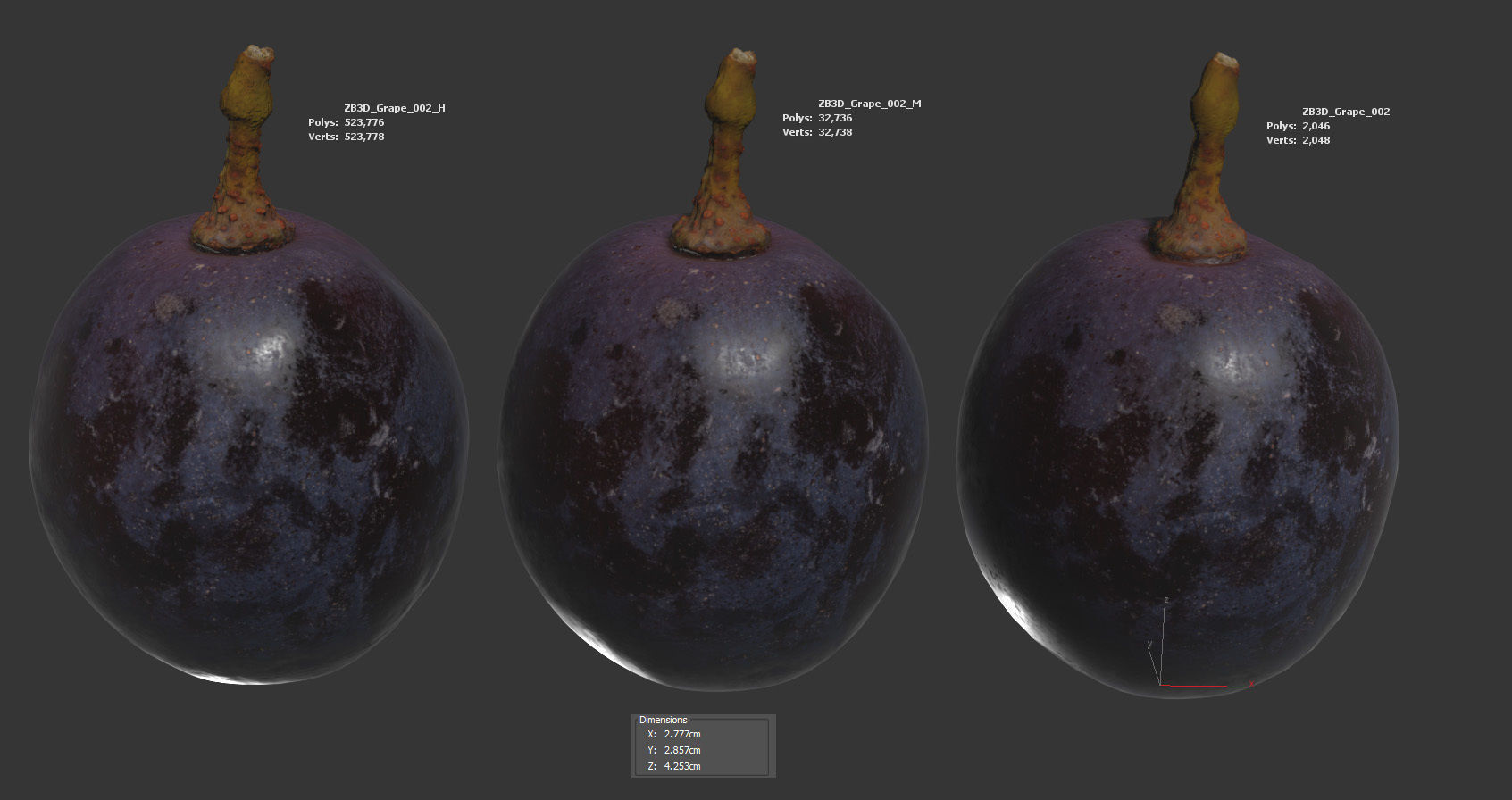 Grape 3D model_5