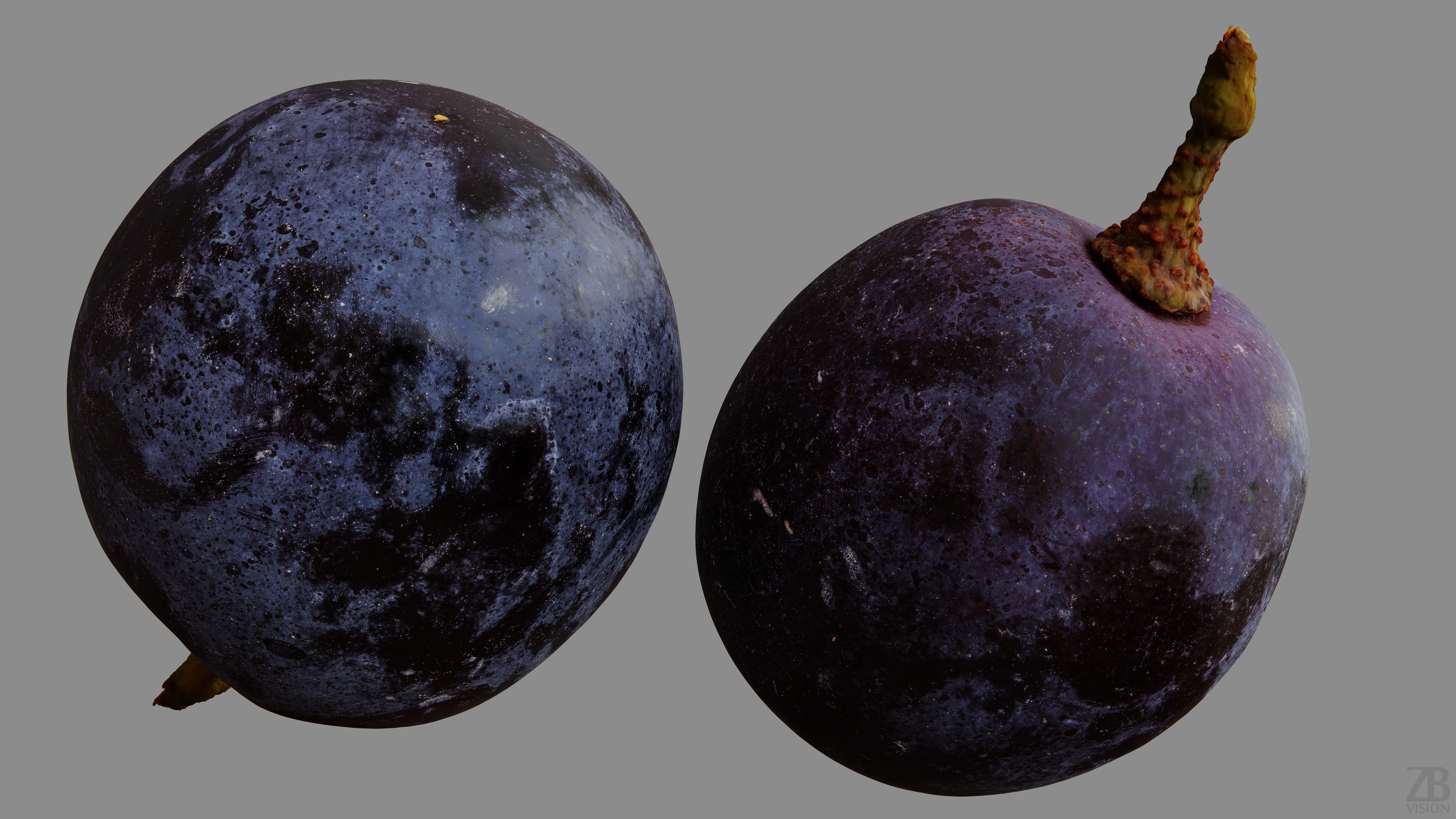Grape 3D model_9