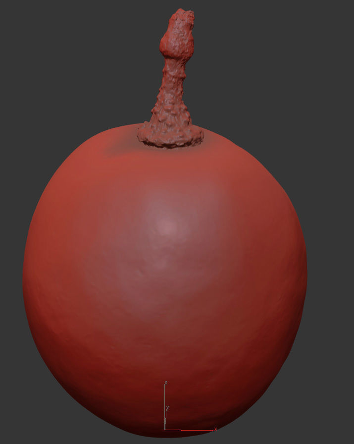 Grape 3D model_7
