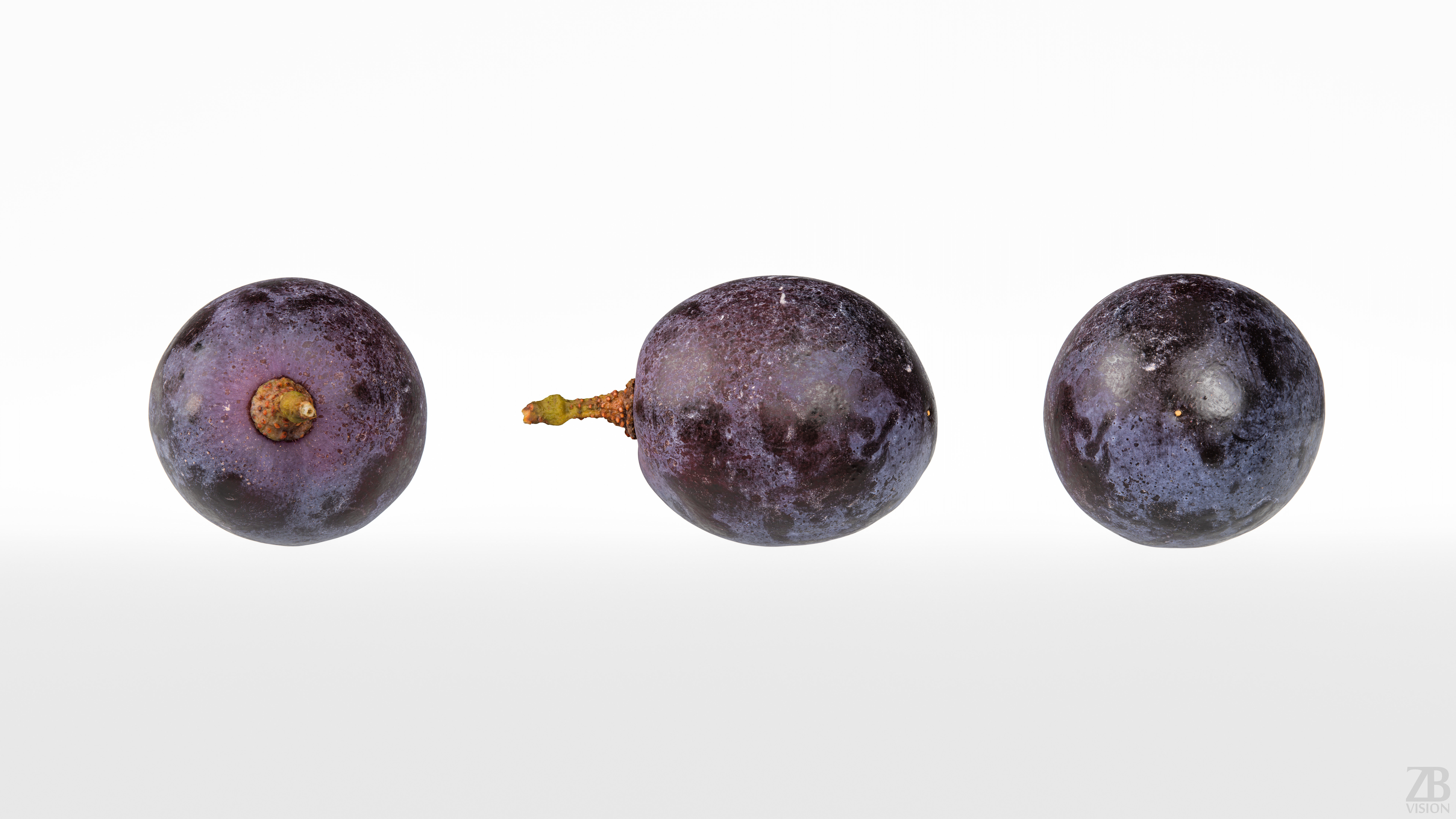 Grape 3D model_4