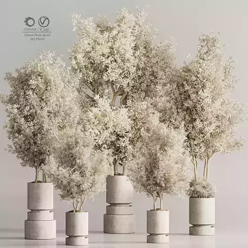 Indoor Plant Set 62 Dry Plants