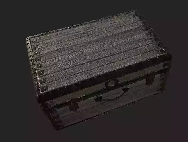Suitcase Trunk