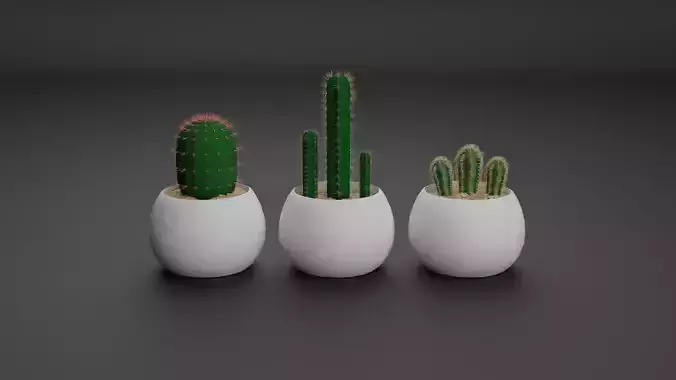 Cactus