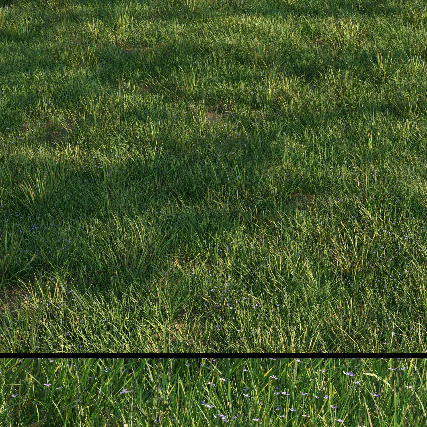 grass9 3D model_0