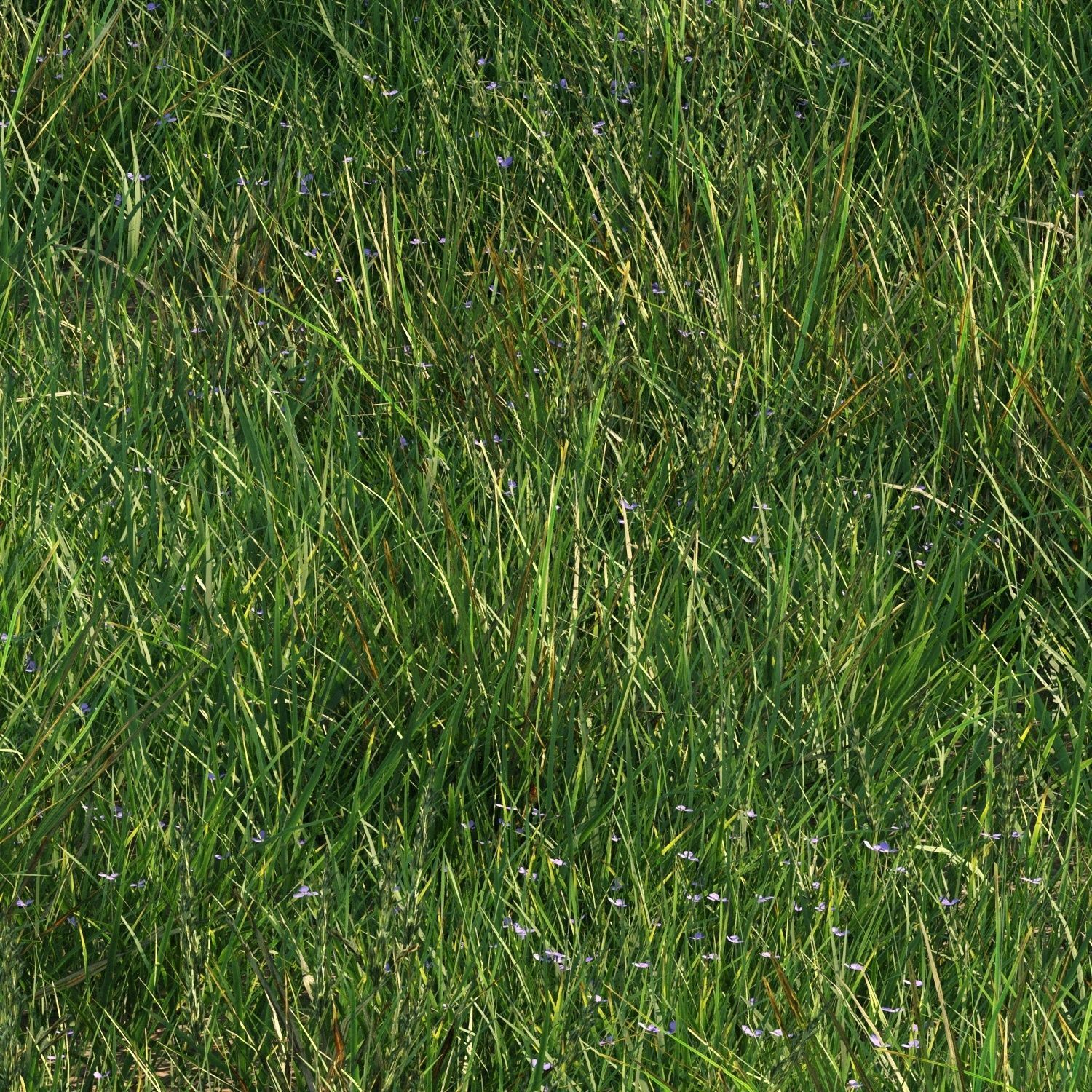 grass9 3D model_1