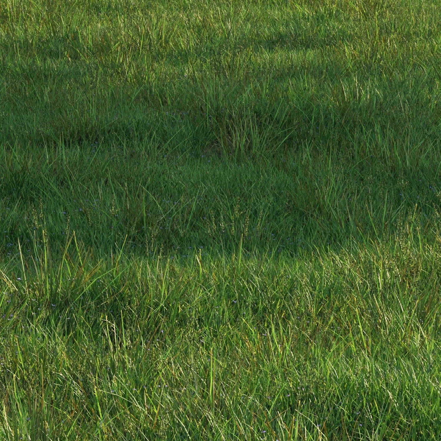 grass9 3D model_2