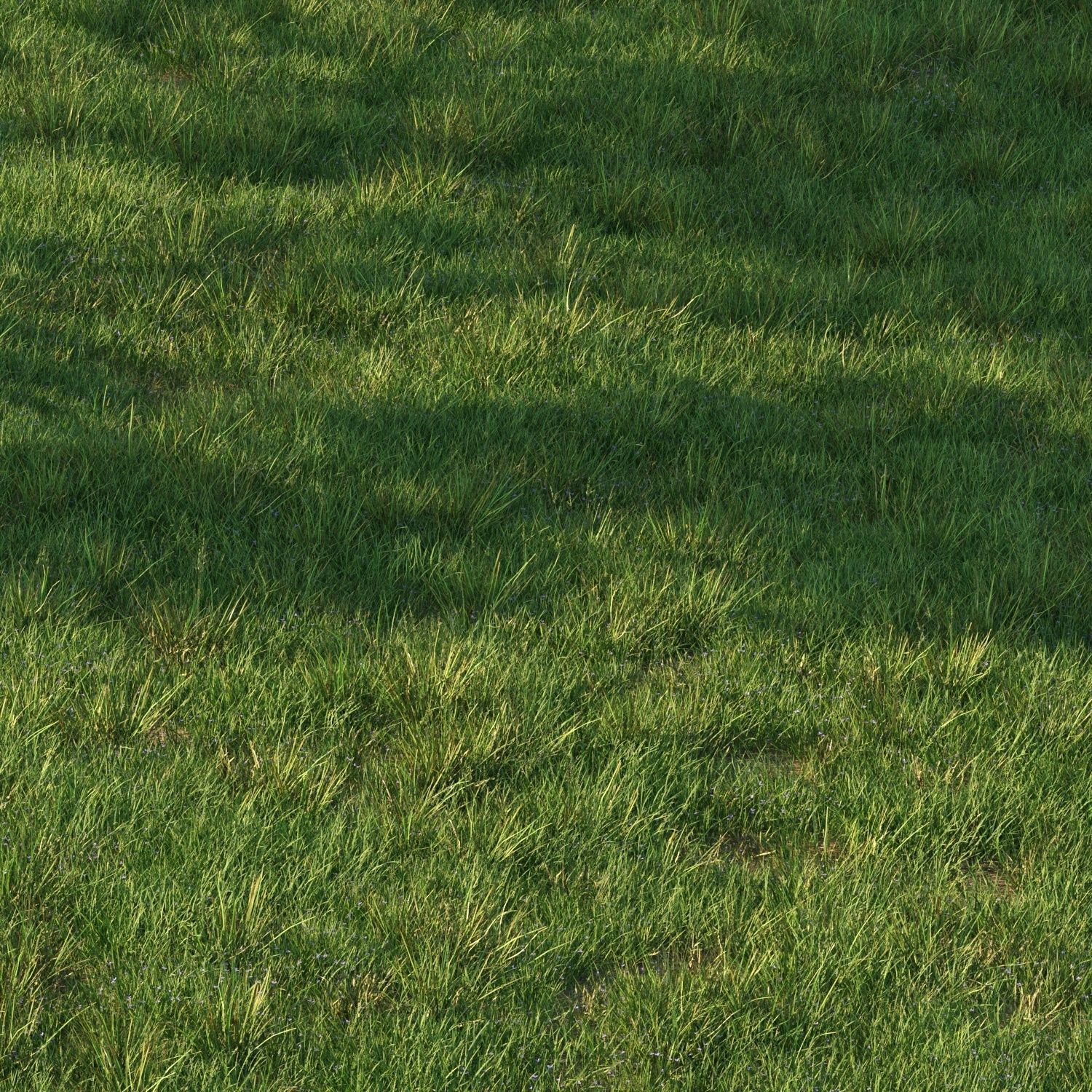 grass9 3D model_4
