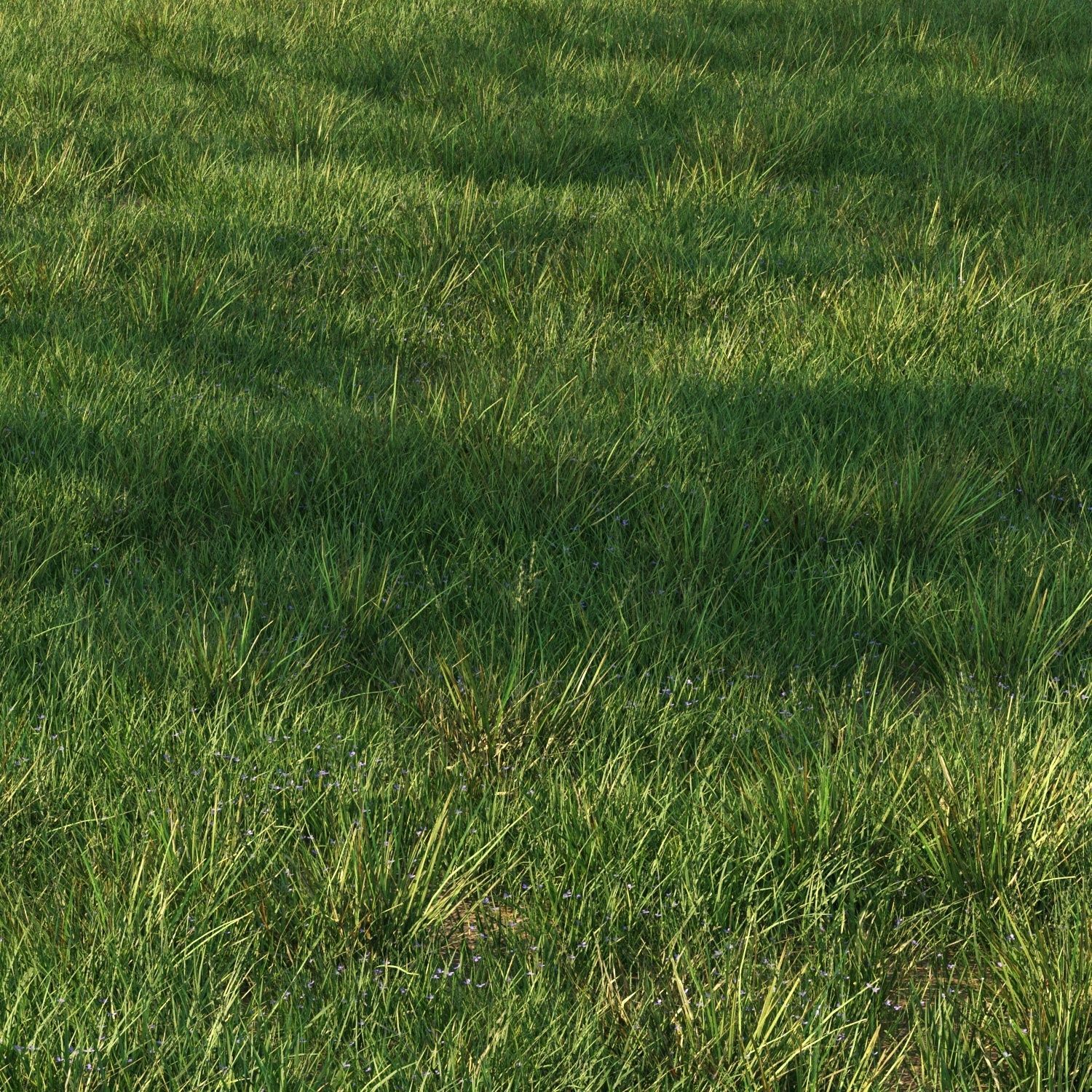 grass9 3D model_3