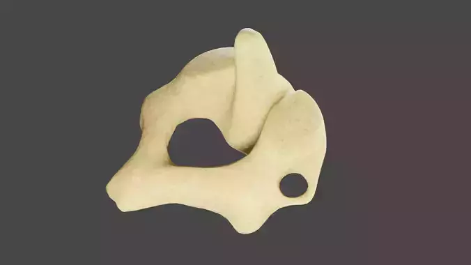 The Second Cervical Vertebra 3D model