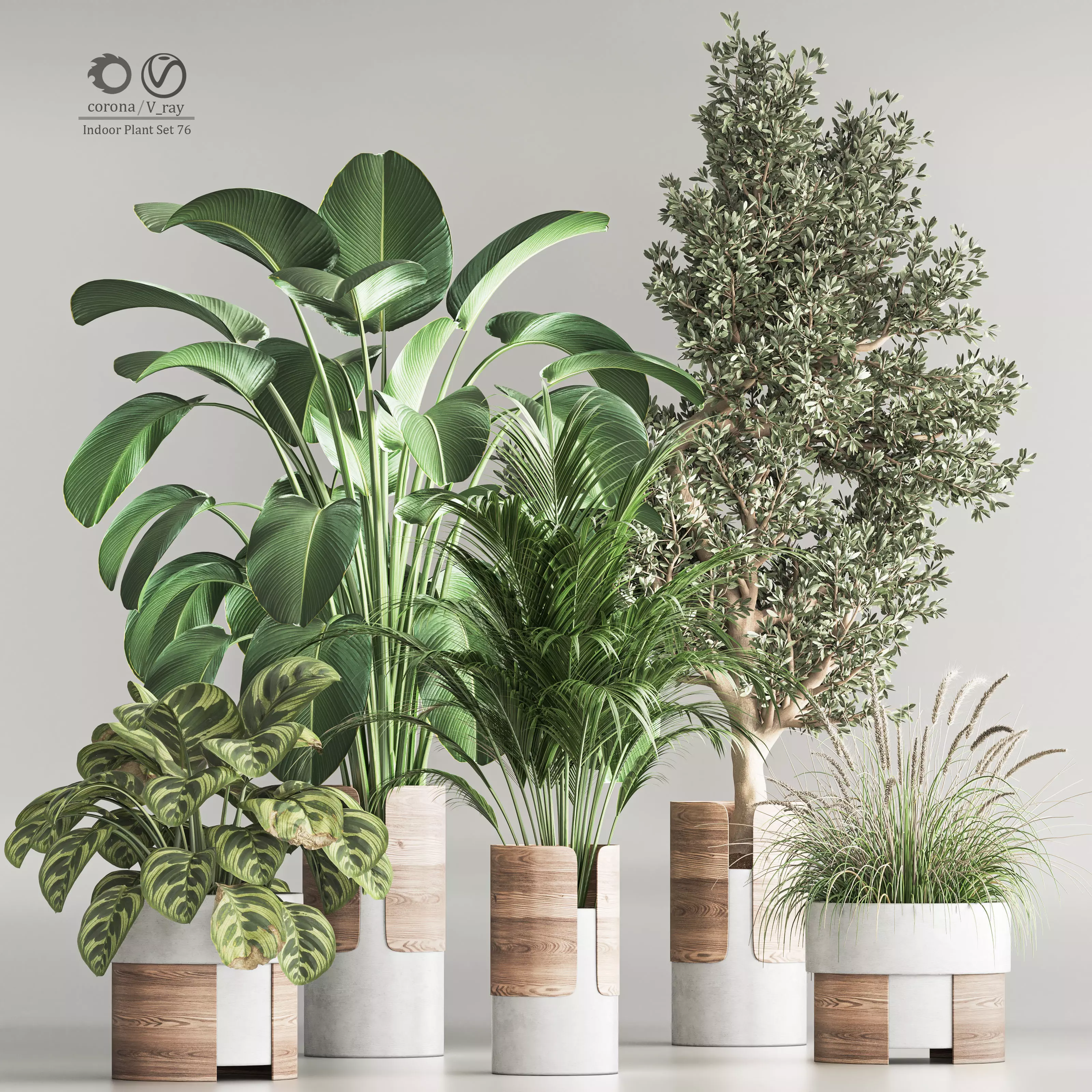 Indoor Plant Set 76 3D model