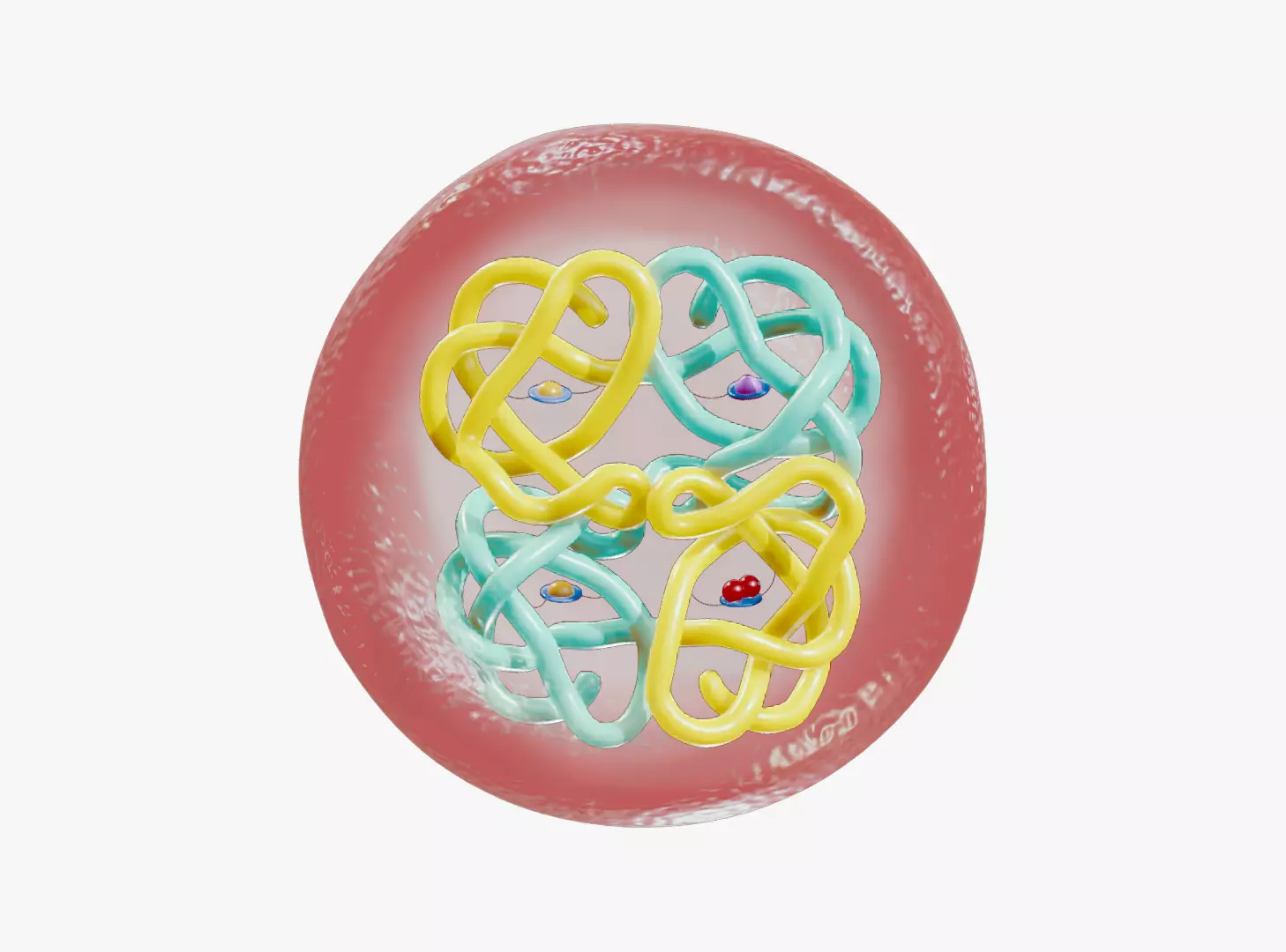 The Structure of Hemoglobin 3D model_0