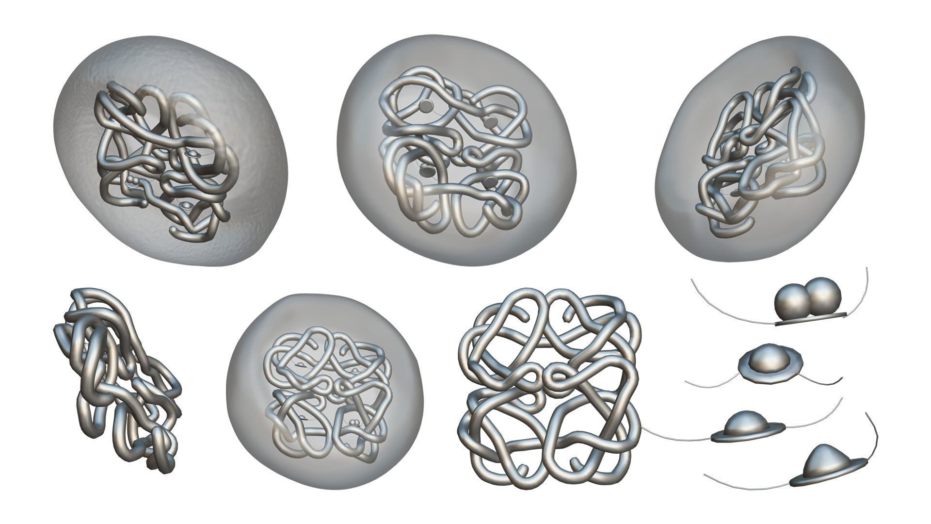 The Structure of Hemoglobin 3D model_4