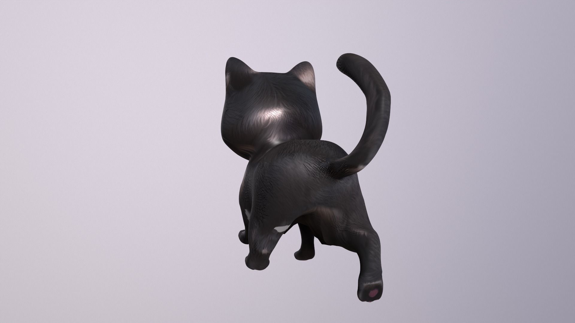 Cat Cartoon Animated and Rigged Low-poly 3D model_10