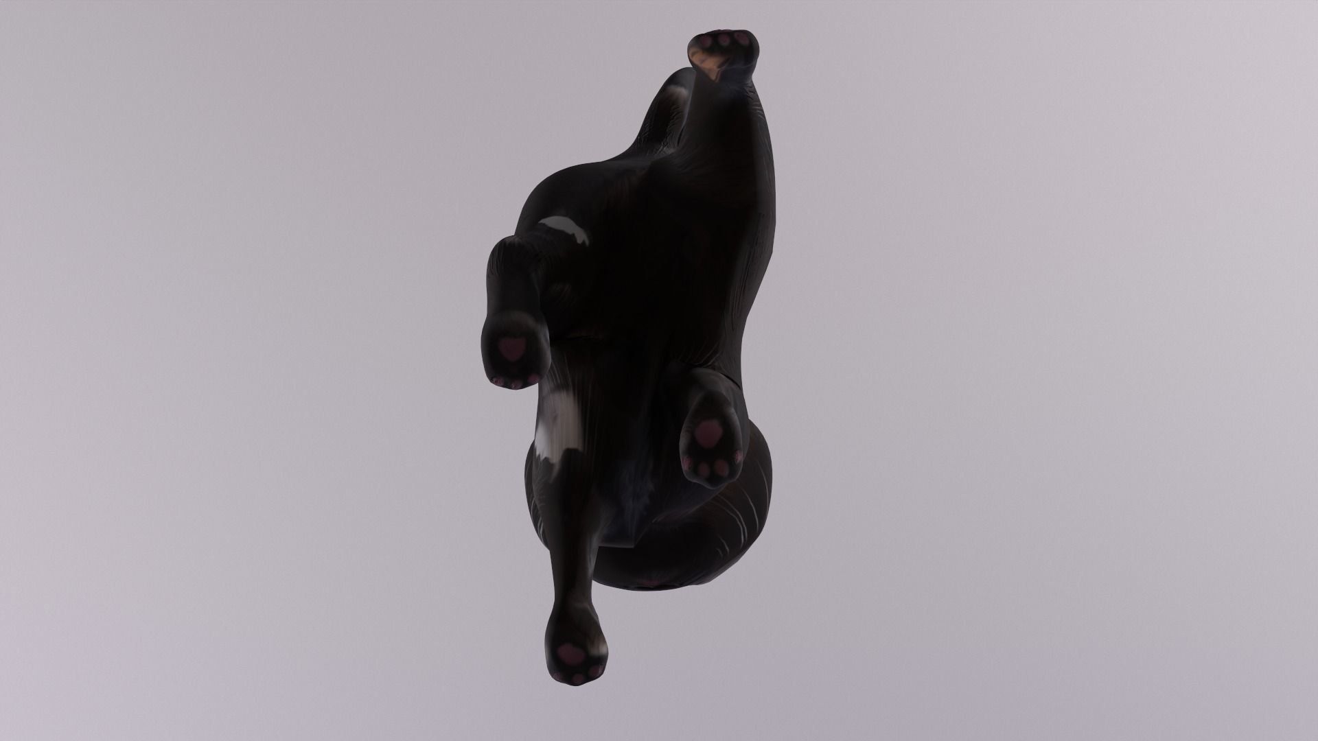 Cat Cartoon Animated and Rigged Low-poly 3D model_11