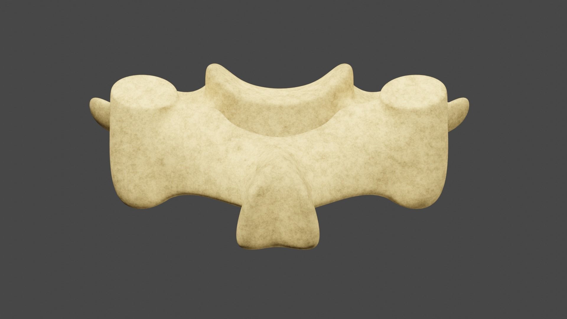The Third Cervical Vertebra 3D model_1
