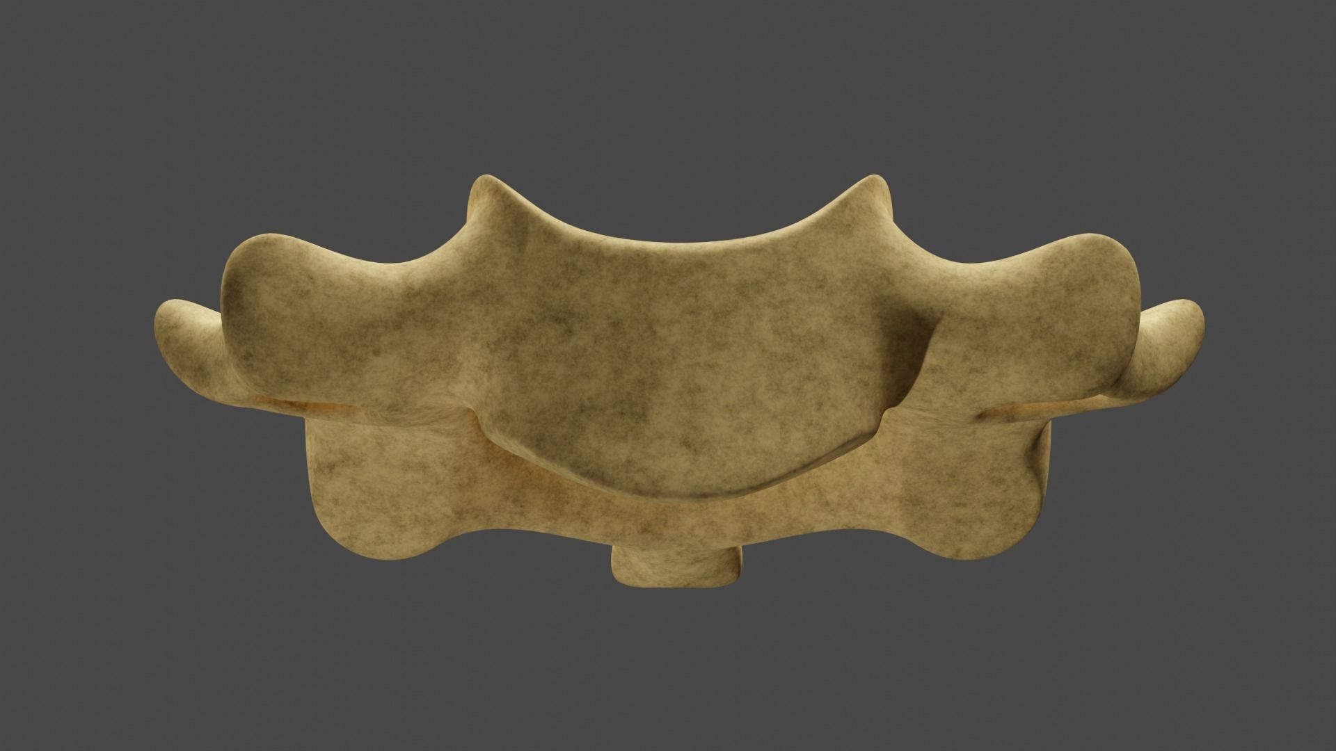 The Third Cervical Vertebra 3D model_2
