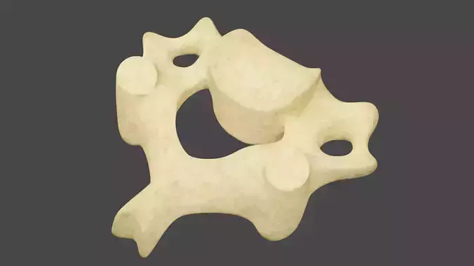 The Third Cervical Vertebra 3D model