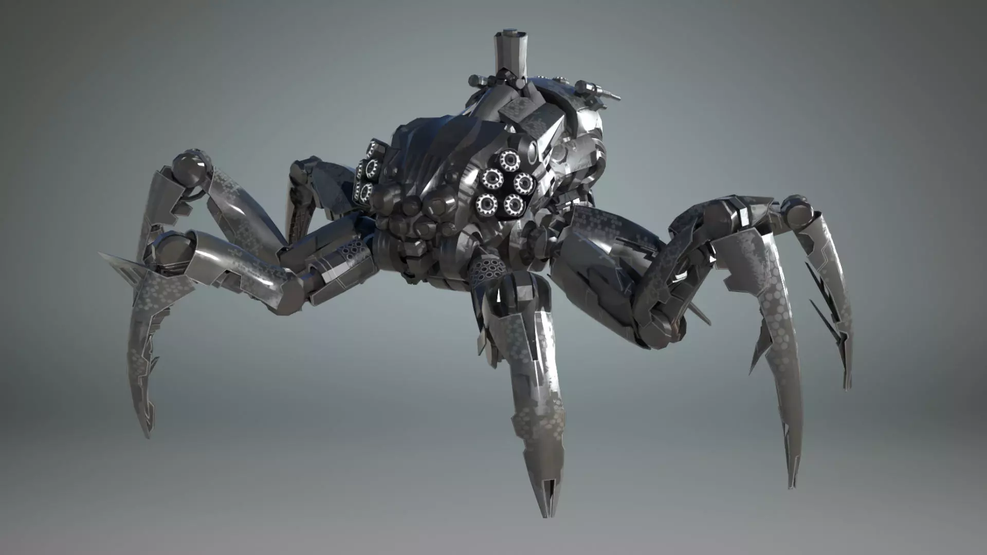 Hexapod Spider Bot 3D model_0