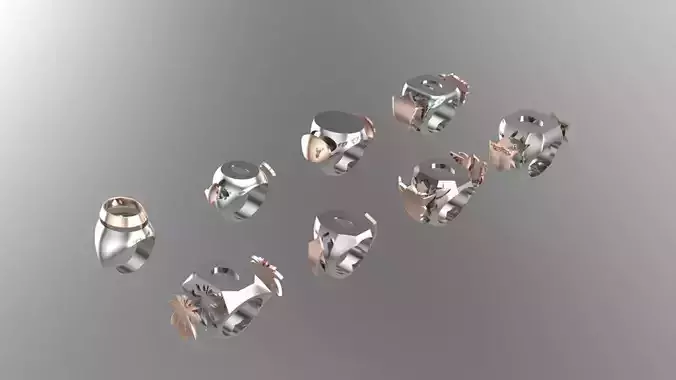 8 men Silver signet Ring in pieces