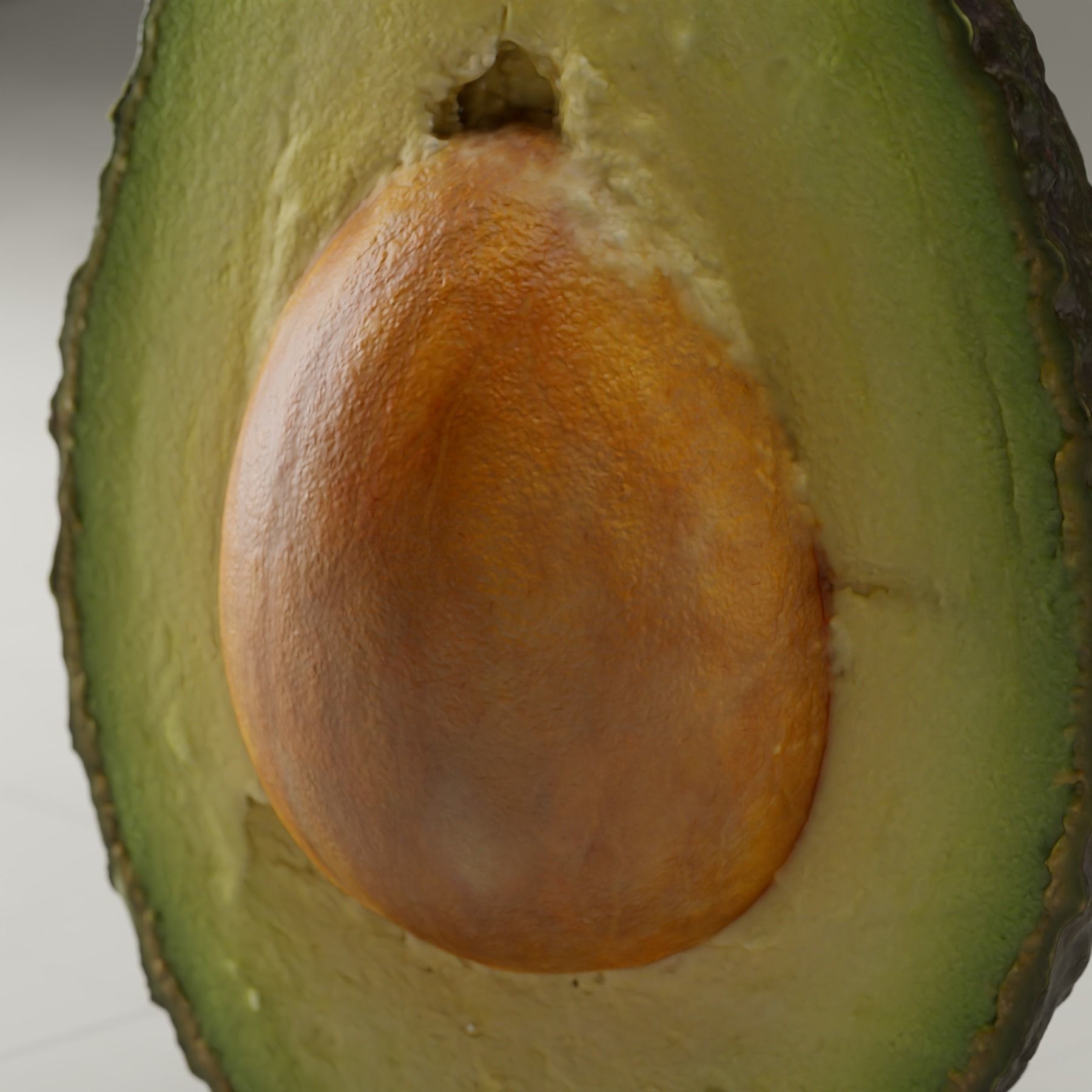 Detailed Avocado 3D Model 3D model_9