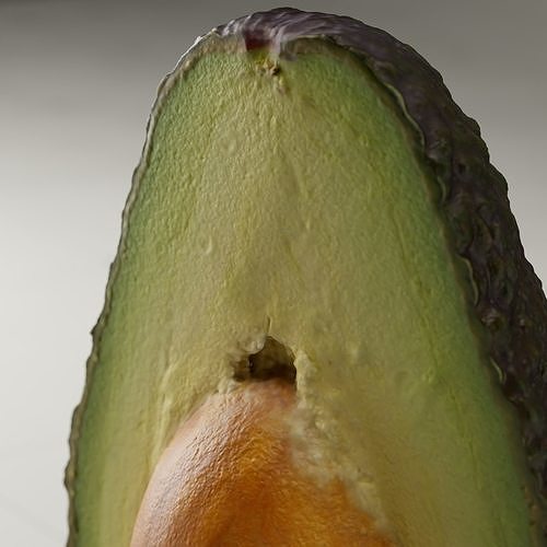 Detailed Avocado 3D Model 3D model 7