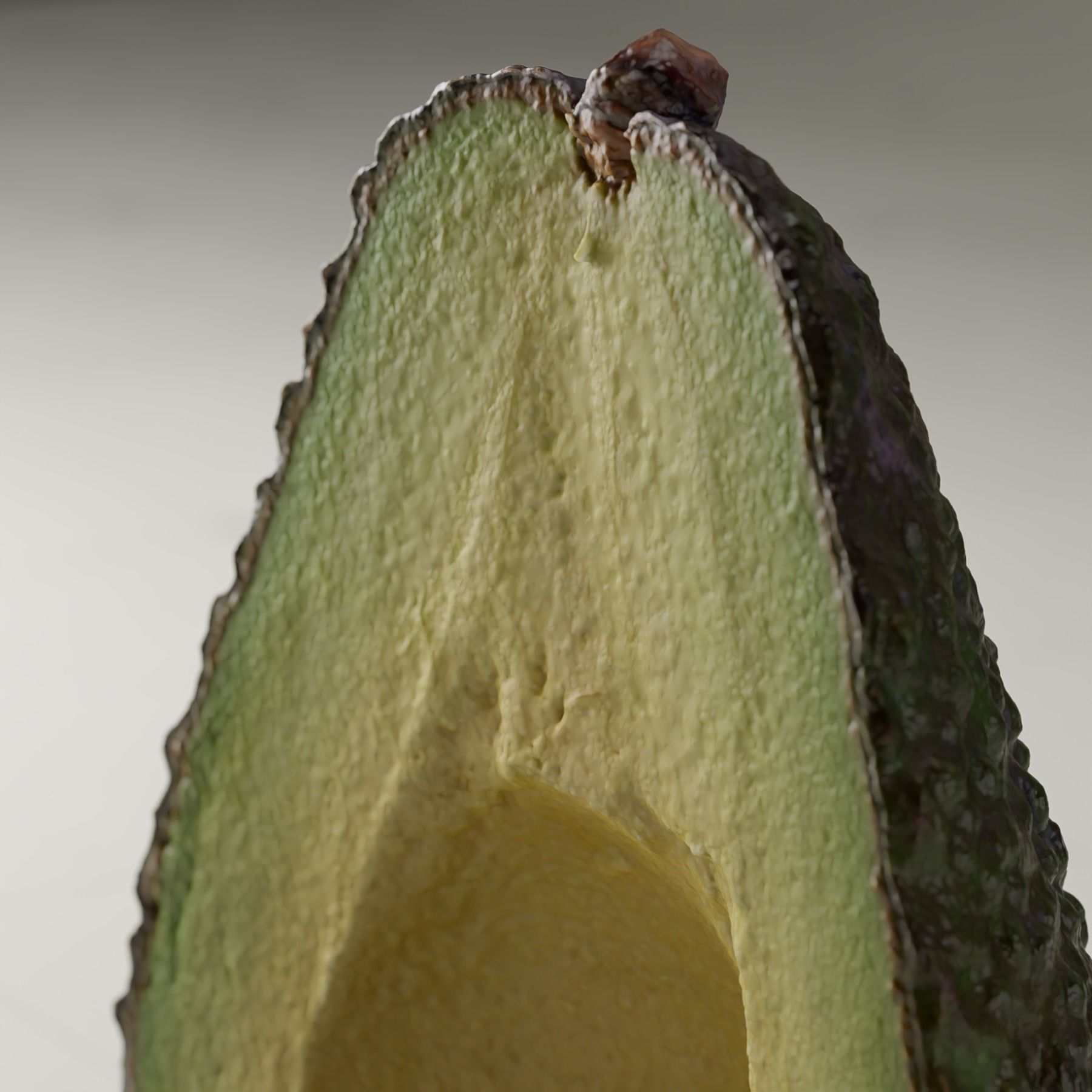 Detailed Avocado 3D Model 3D model_14