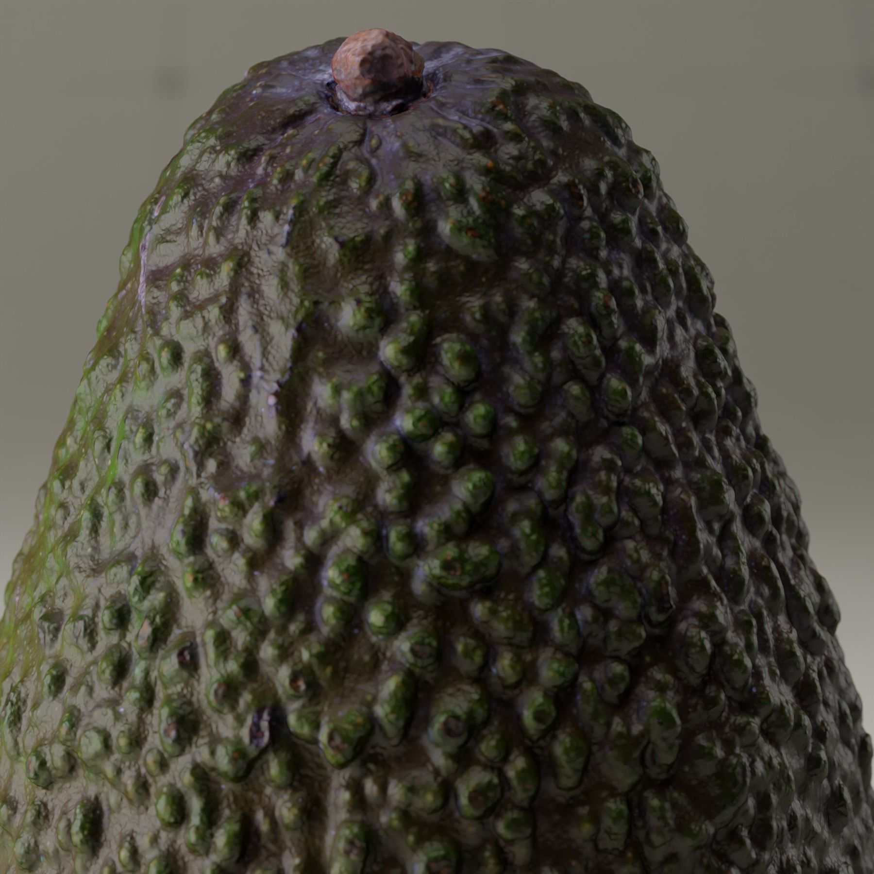 Detailed Avocado 3D Model 3D model_25