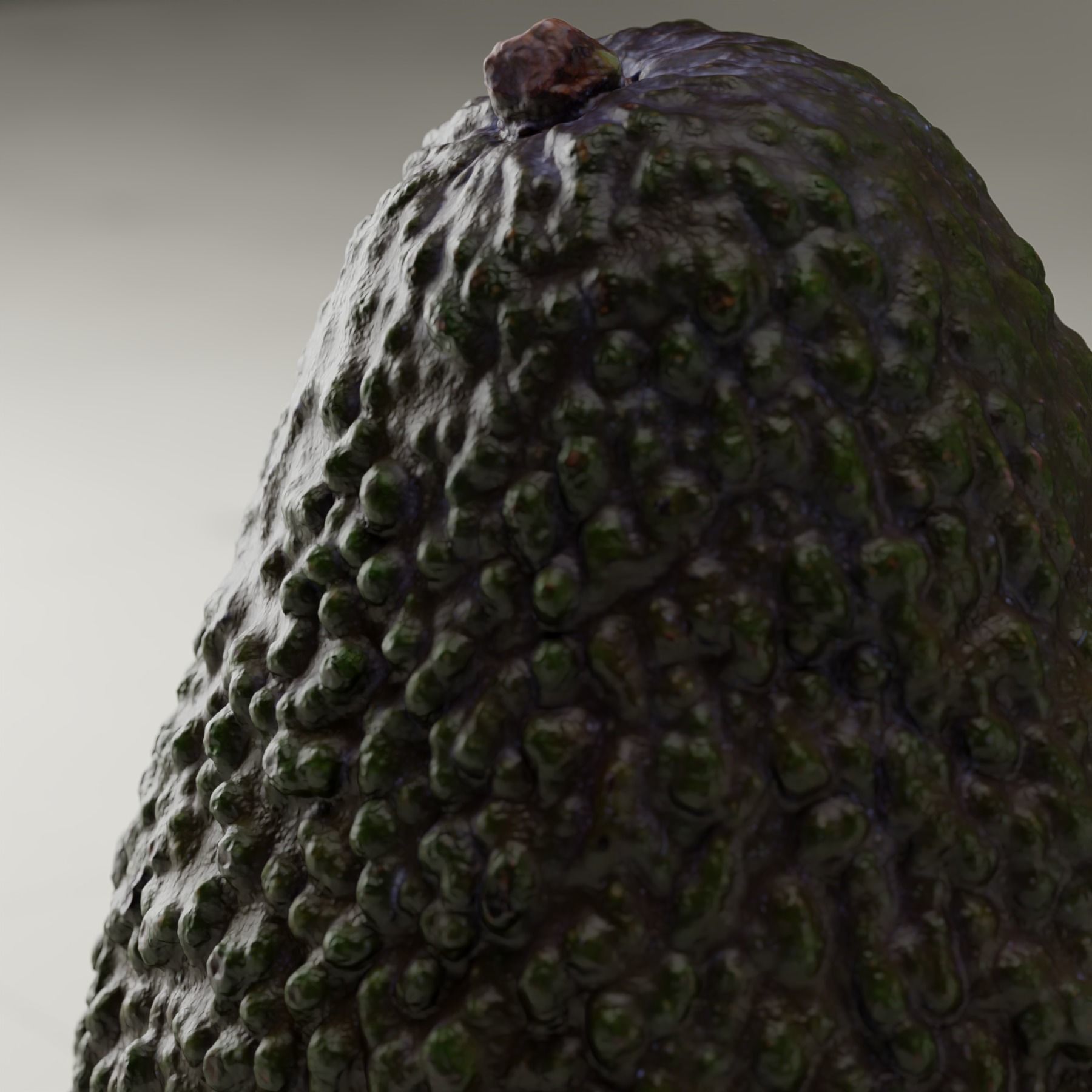 Detailed Avocado 3D Model 3D model_24