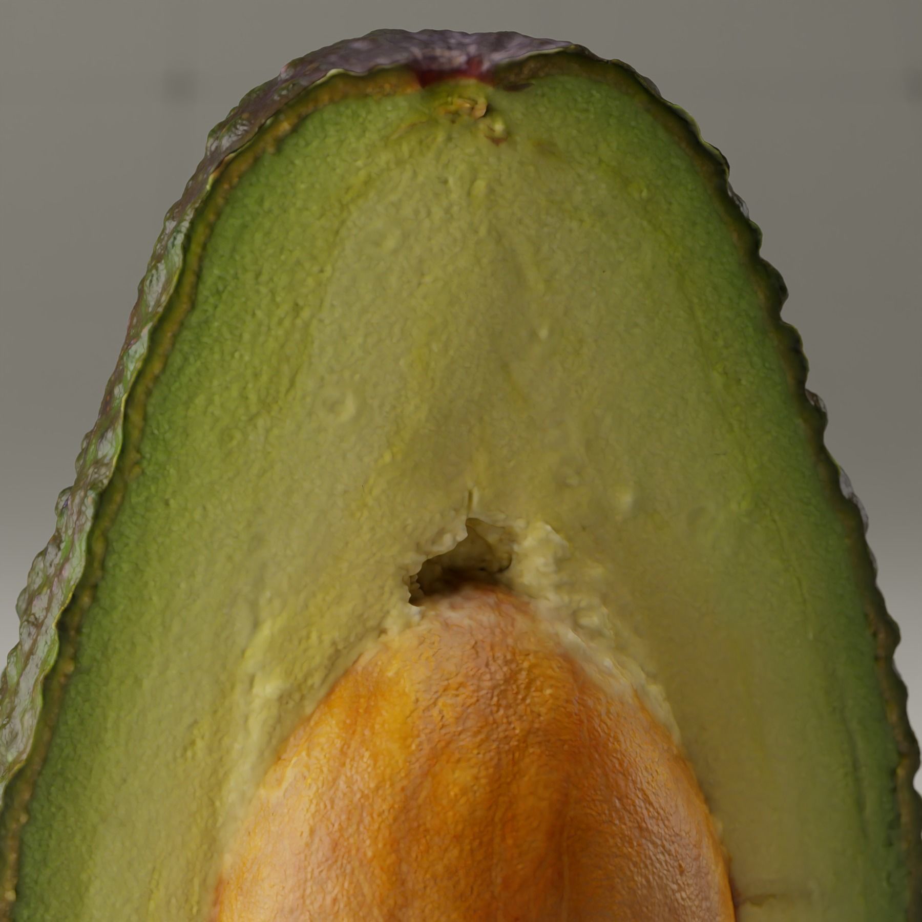 Detailed Avocado 3D Model 3D model_8