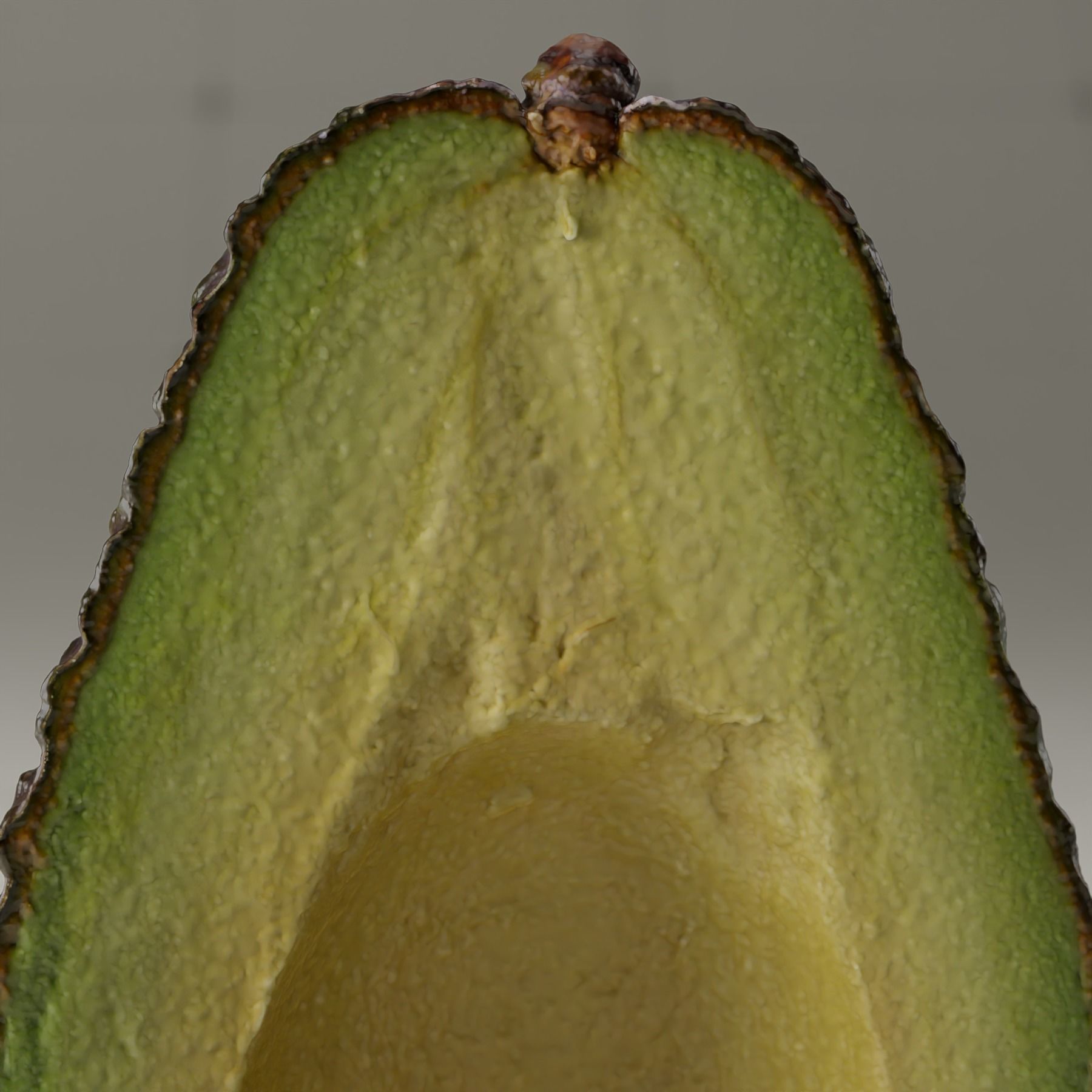 Detailed Avocado 3D Model 3D model_15