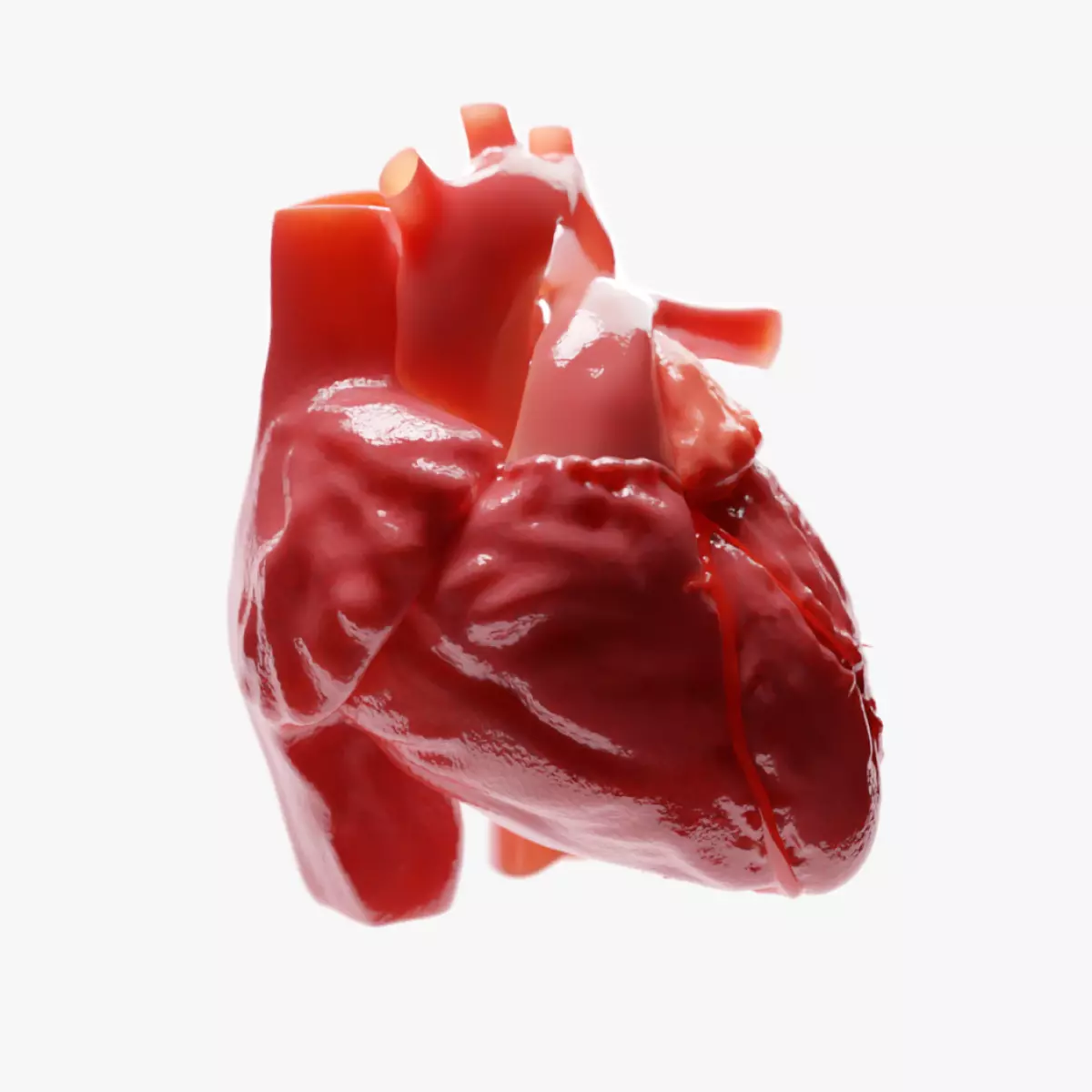 Human Heart 3D model_0
