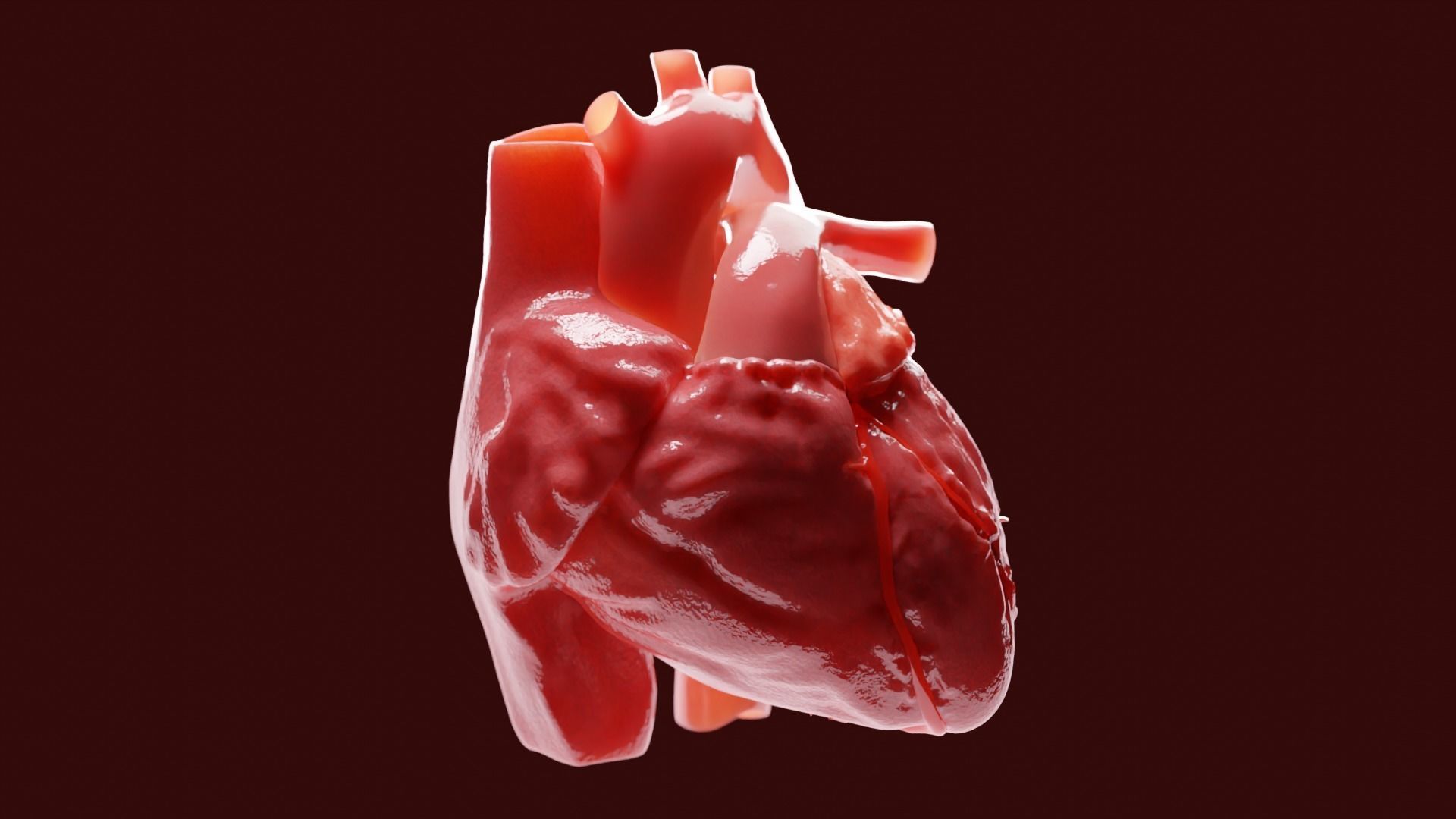 Human Heart 3D model_1