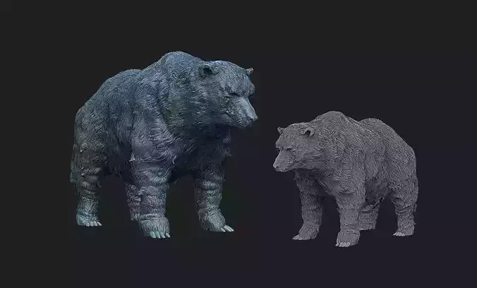 bear model