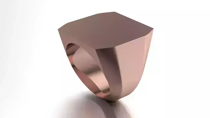 20mm Signet Ring Printable model 3dmodel