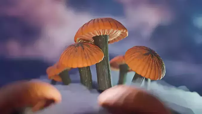 Fantasy mushroom Pumpkin Mushroom 01