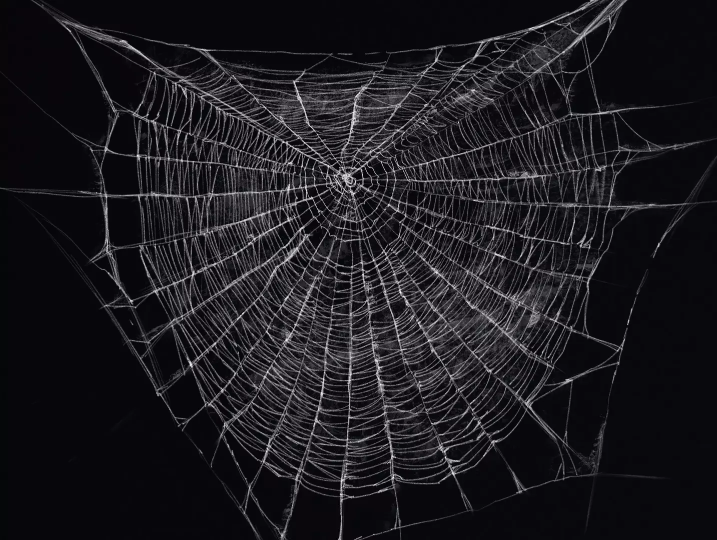 HQ Spiderweb Collection Texture_0