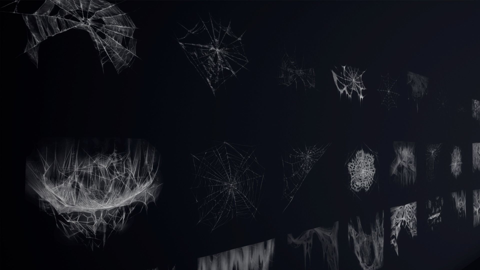 HQ Spiderweb Collection Texture_5