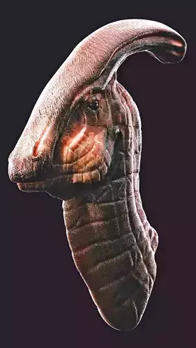 dinosaur parasaurolophus head Free 3D model