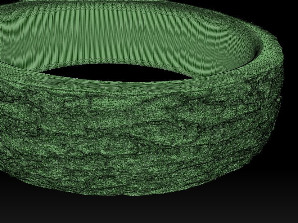 Tree Bark Ring - Organic Jewelry 3D print model_6