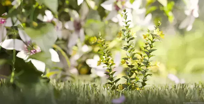 Maxtree Plant Models Vol 133 - Mesh