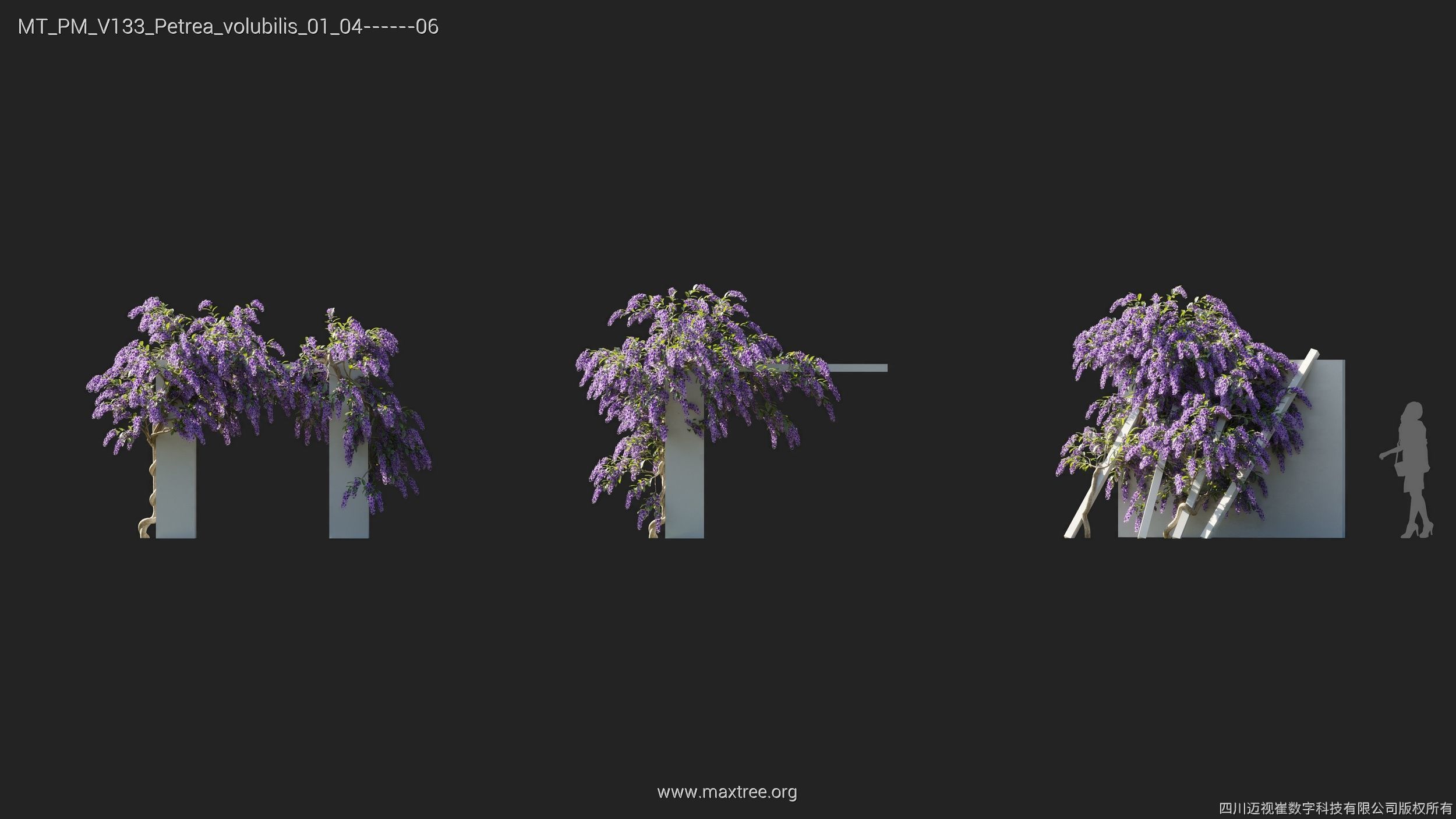 Maxtree Plant Models Vol 133 - Mesh 3D model_23