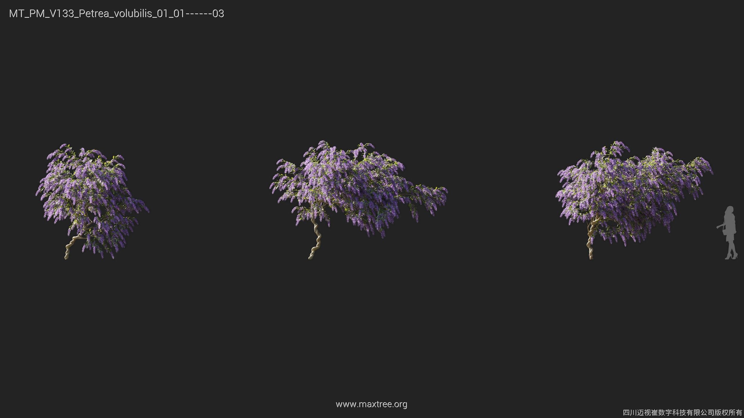 Maxtree Plant Models Vol 133 - Mesh 3D model_22