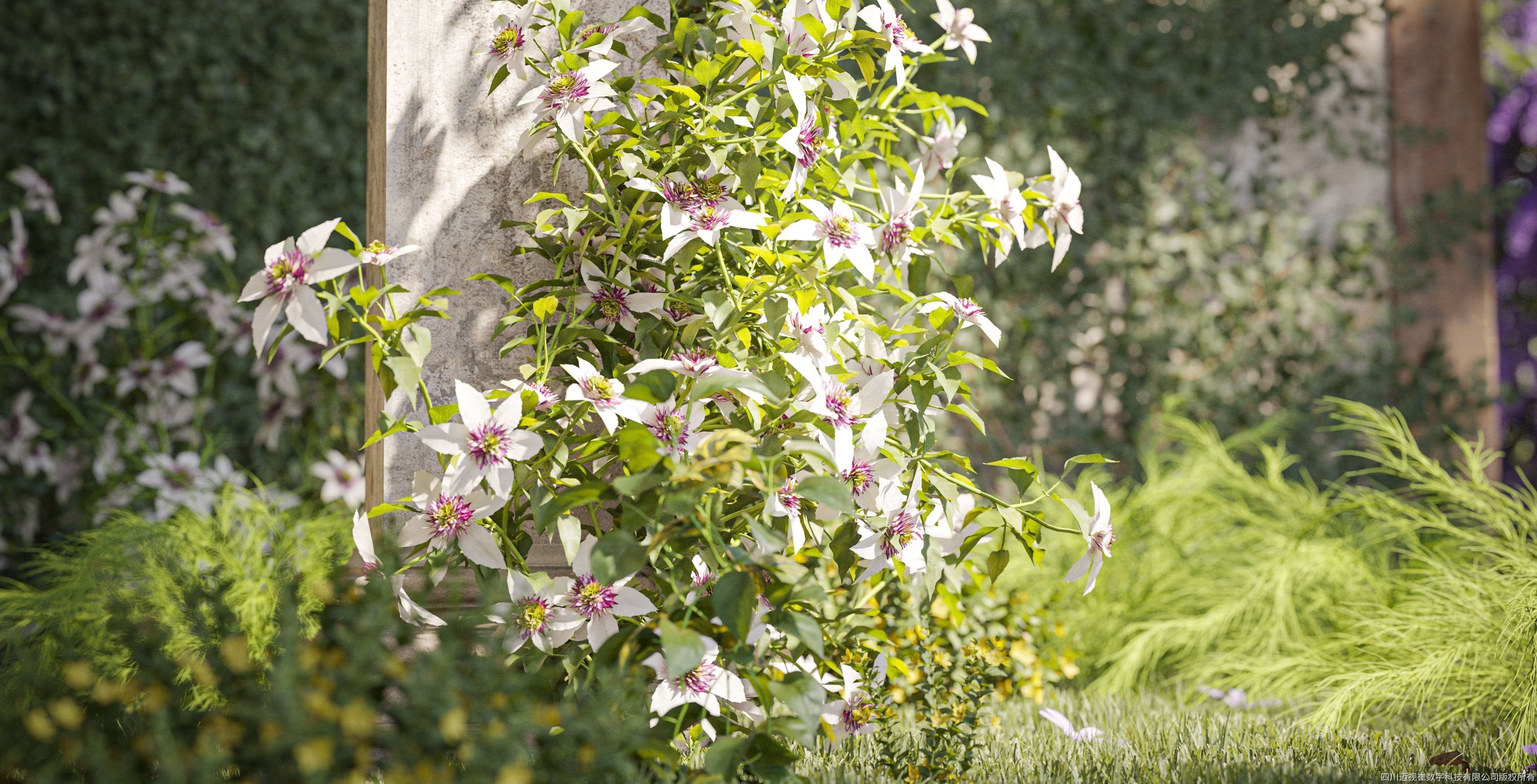 Maxtree Plant Models Vol 133 - Mesh 3D model_3