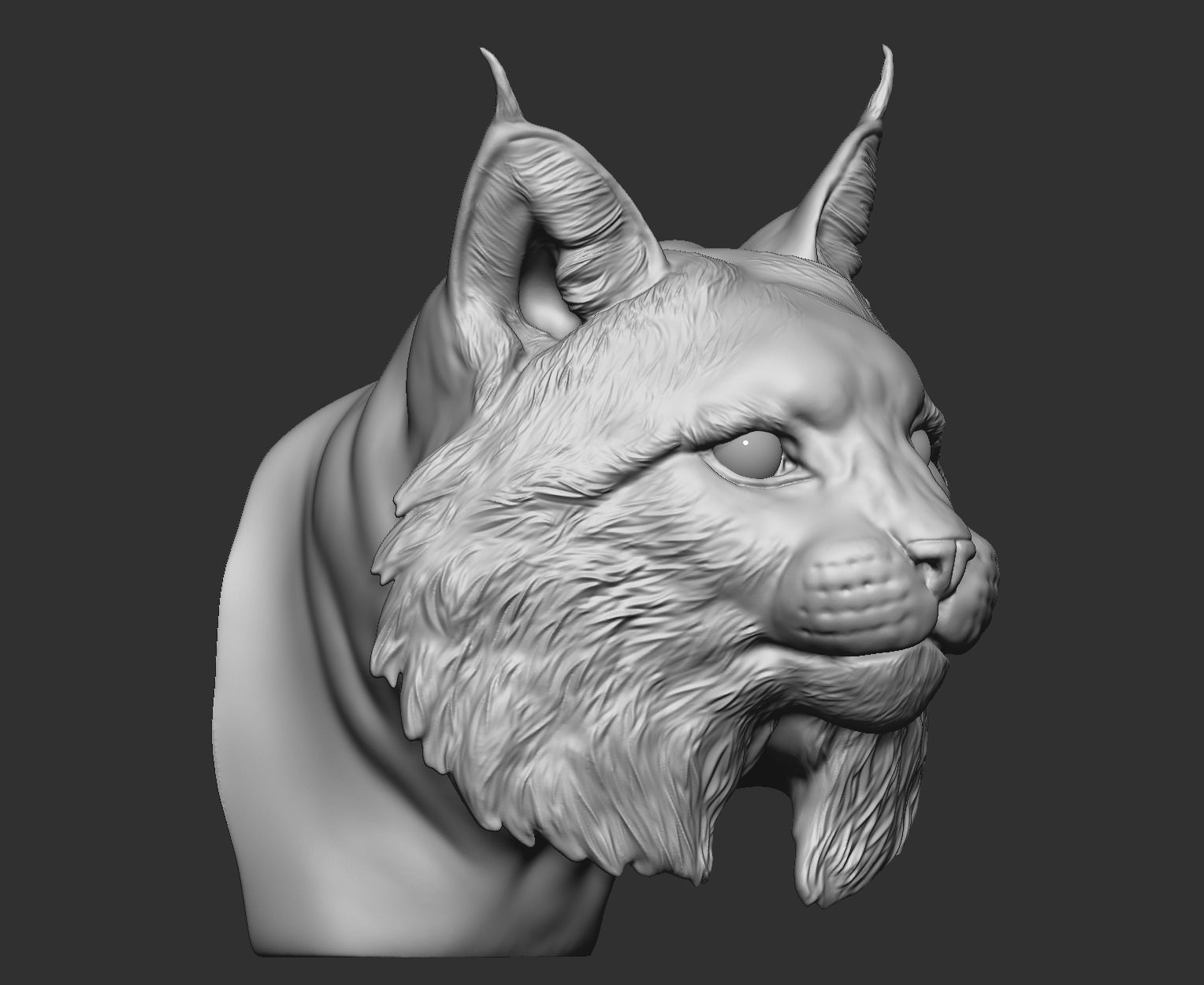 Bobcat Bust  3D print model_2