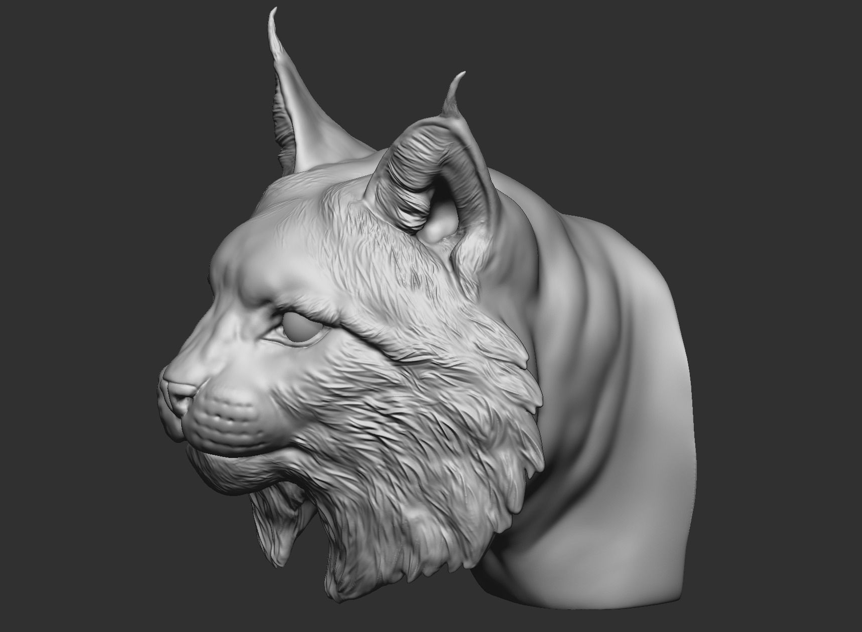 Bobcat Bust  3D print model_4