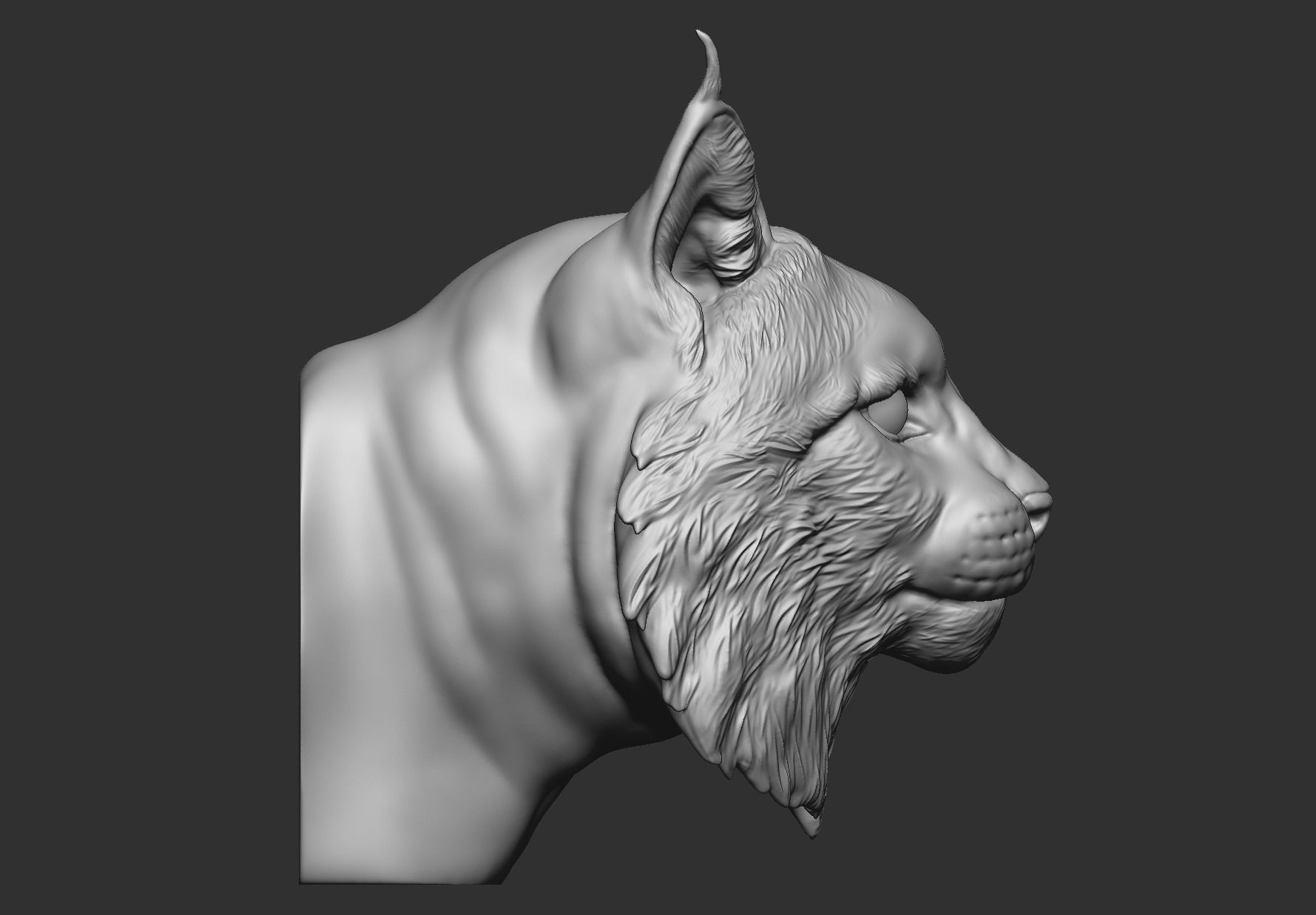 Bobcat Bust  3D print model_3